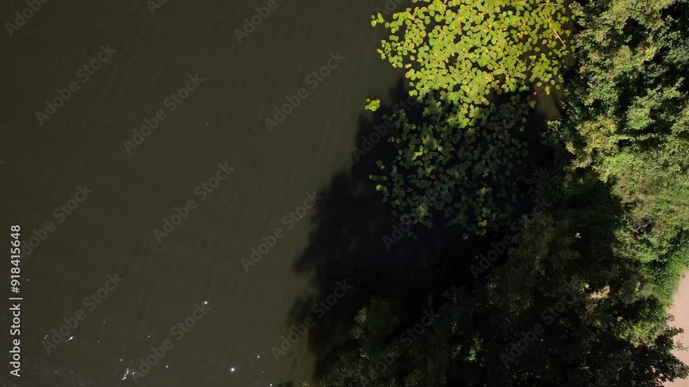 drone aerial view over Havel river in Berlin Spandau on a summer hot day drone aerial view over Havel river in Berlin Spandau on a summer hot day