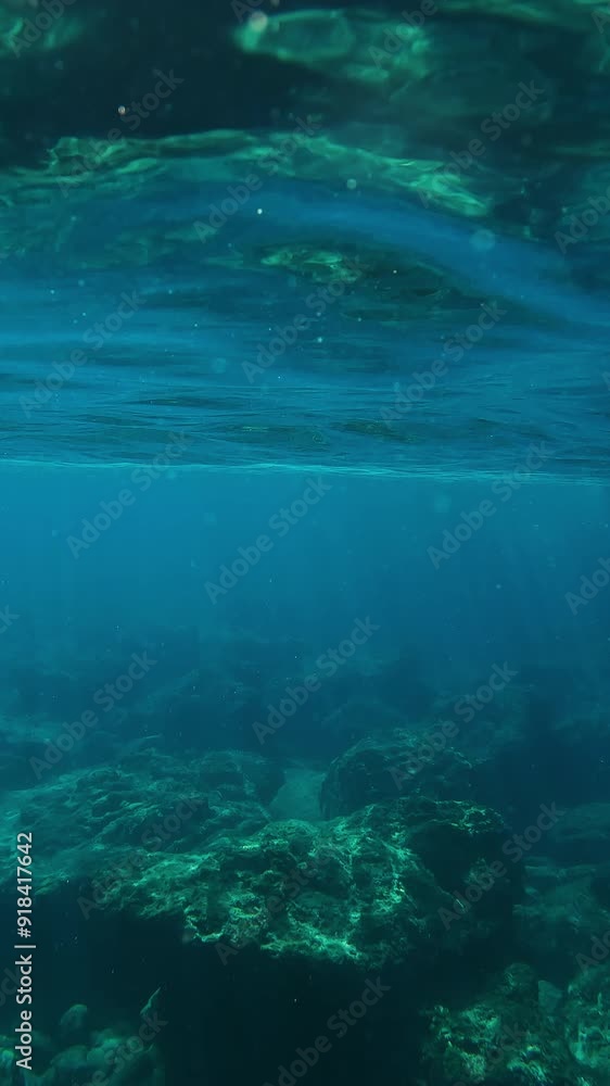 Rocky underwater landscape below surface of Mediterranean Sea, Greece Rocky underwater landscape below surface of Mediterranean Sea, Greece