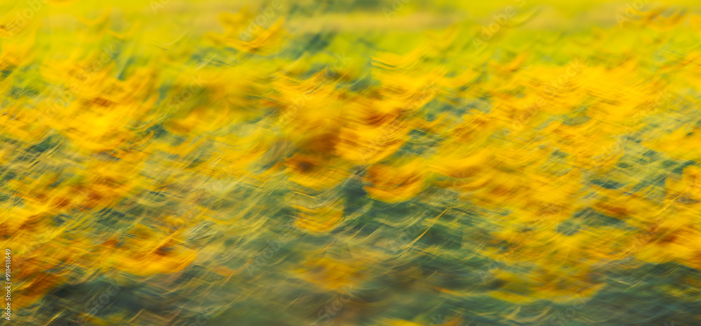 abstract background with flowers abstract background with flowers