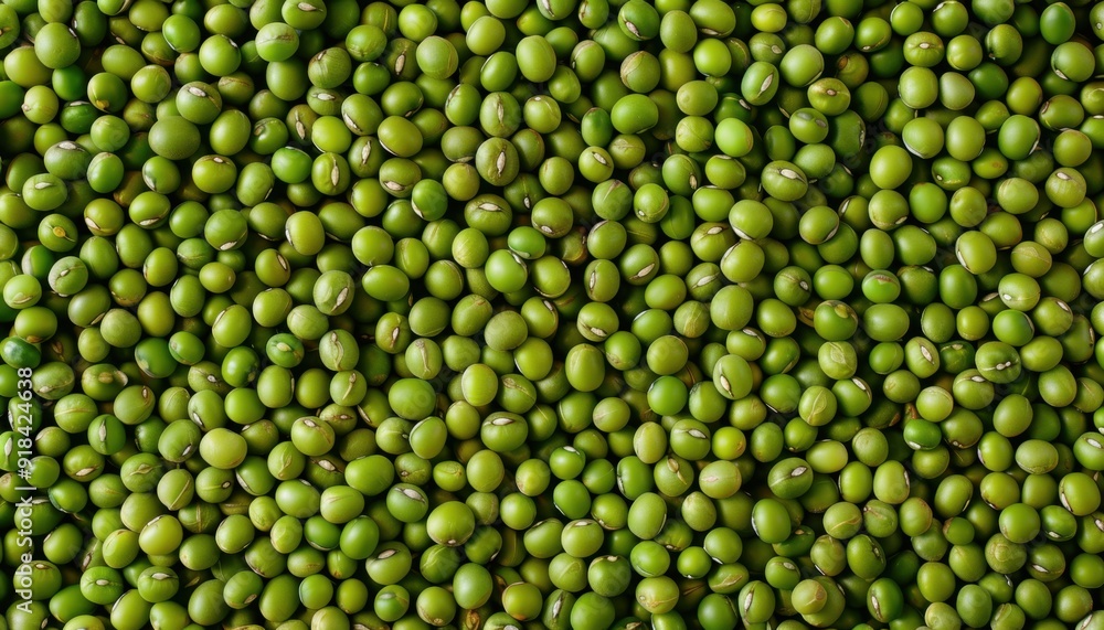 Close-up view of a large quantity of green mung beans on a textured surface Close-up view of a large quantity of green mung beans on a textured surface