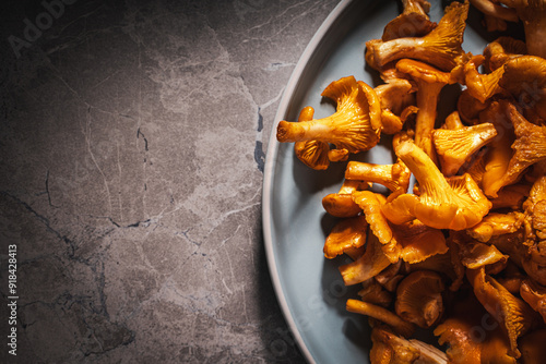 Foto Raw mushrooms Chanterelles on a blue plateon a gray background, close-up