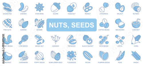 Nuts and seeds icons set in duotone outline stroke design for web. Pack pictograms of cacao, cashew, star anise, acorn, hazelnut, peanut, chickpea, almond, coffee bean, other. Vector illustration.