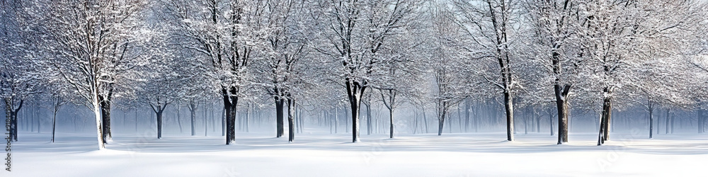 The White Wash: A pristine winter scene, fresh snow blanketing the ground and covering leafless trees The White Wash: A pristine winter scene, fresh snow blanketing the ground and covering leafless trees