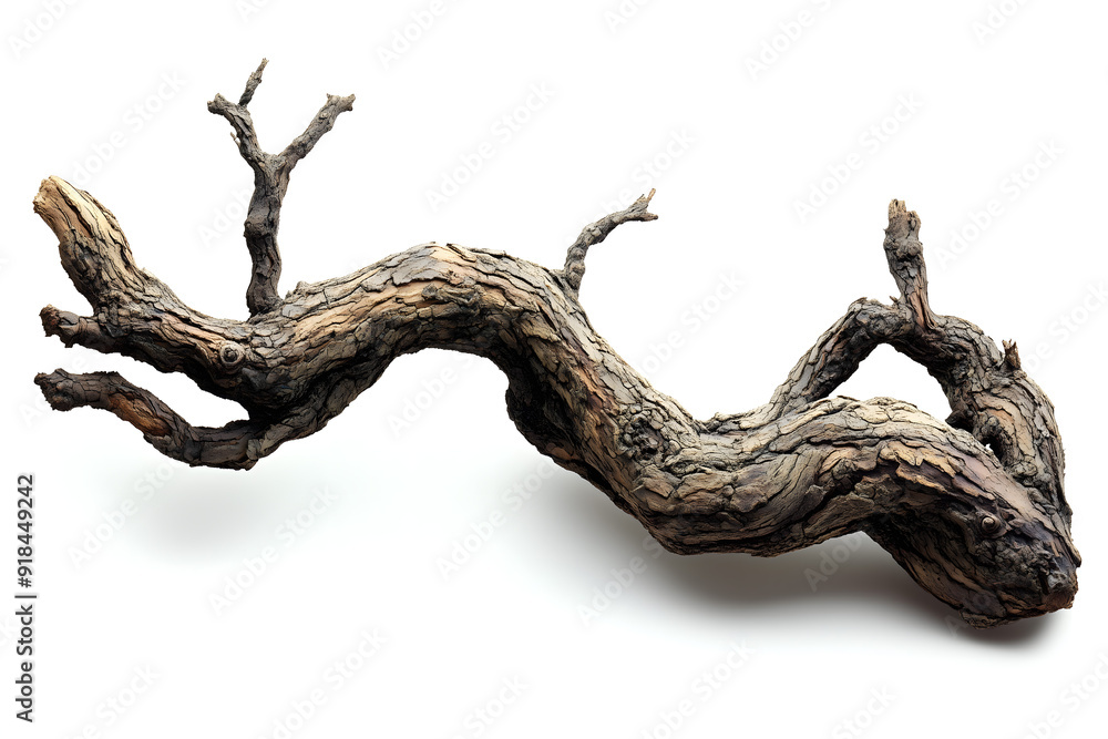 Twisting Ancient Tree Branch Isolated on White Background Twisting Ancient Tree Branch Isolated on White Background