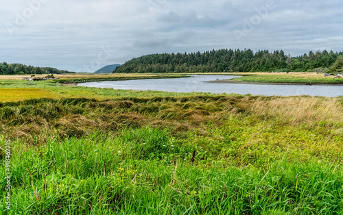 Copalis River Landscape 2 photo