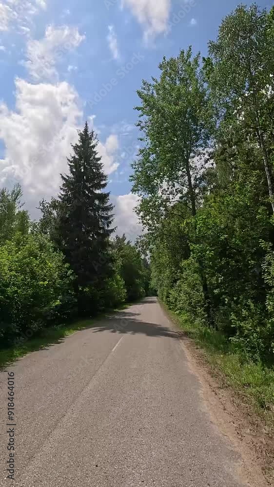 The car drives along the road on a summer day. Highways, roadside and road line markings. The car drives along the road on a summer day. Highways, roadside and road line markings.