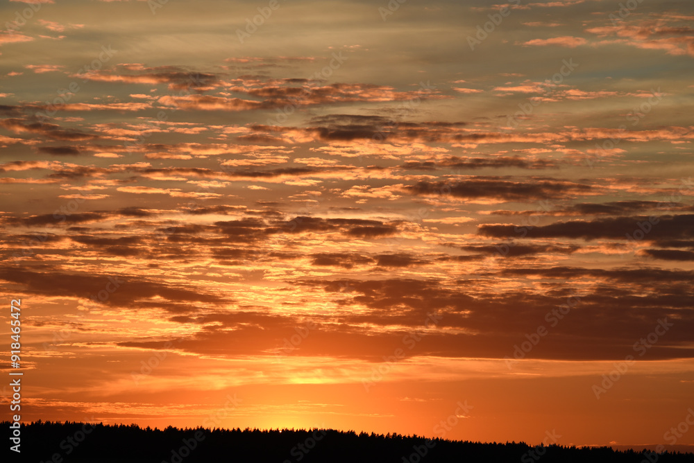 A colorful sunset on the background of the forest horizon. The setting sun. A colorful sunset on the background of the forest horizon. The setting sun.