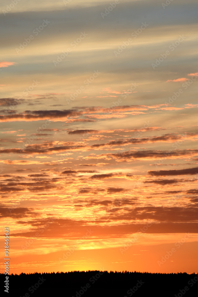 A colorful sunset on the background of the forest horizon. The setting sun. A colorful sunset on the background of the forest horizon. The setting sun.