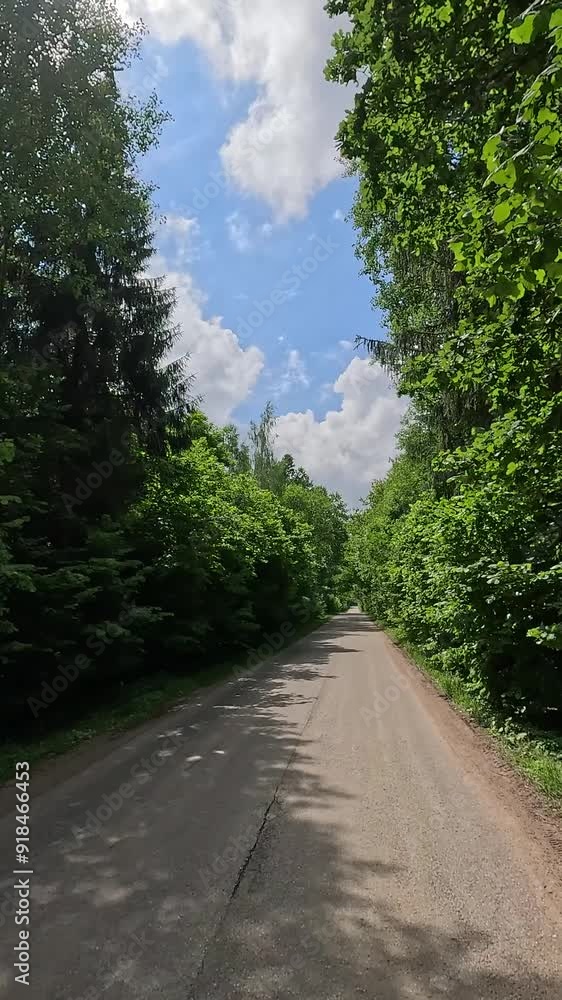 The car drives along the road on a summer day. Highways, roadside and road line markings. The car drives along the road on a summer day. Highways, roadside and road line markings.