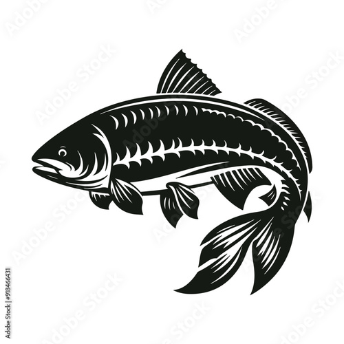 River fish silhouette vector illustration. cooking fish black and white animal.