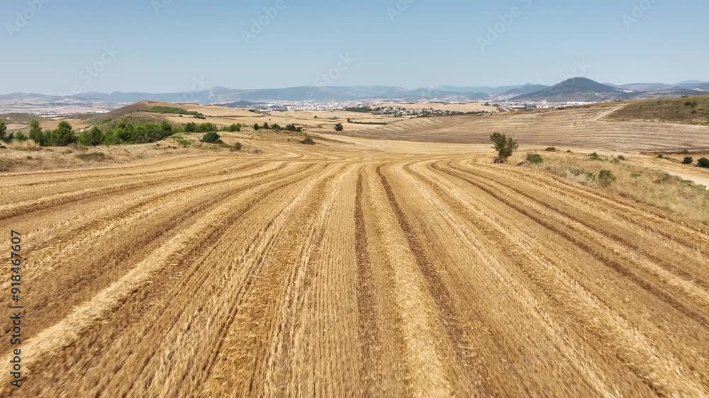 Harvested cereal field and aerated straw. Pamplona Region. Navarre Harvested cereal field and aerated straw. Pamplona Region. Navarre