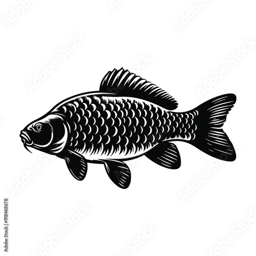 River fish silhouette vector illustration. cooking fish black and white animal.