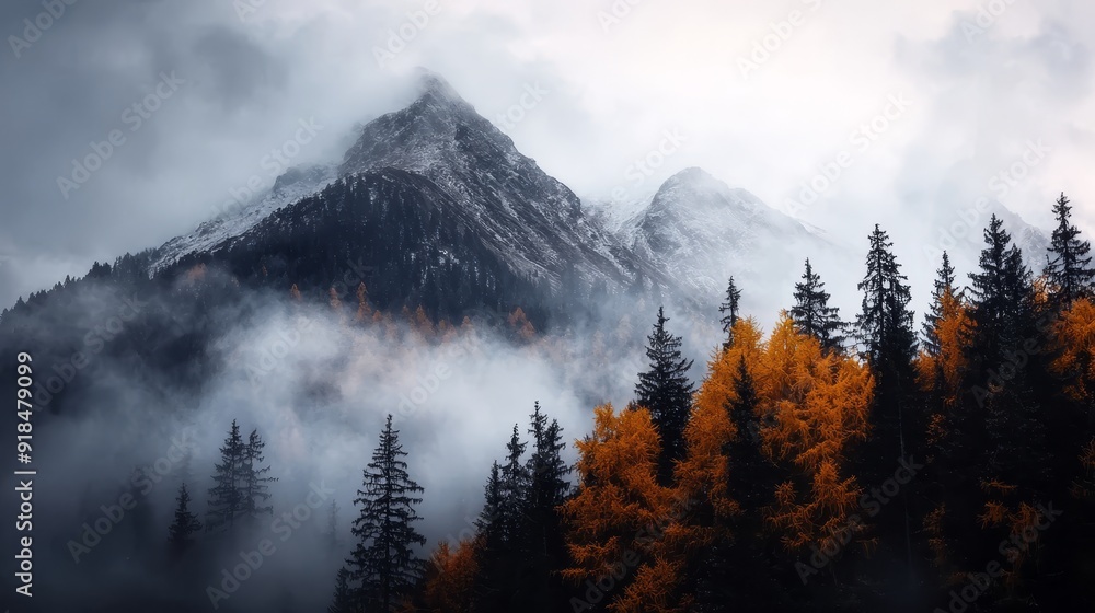 A mountain shrouded in fog, trees line the foreground; yellow trees opposite A mountain shrouded in fog, trees line the foreground; yellow trees opposite
