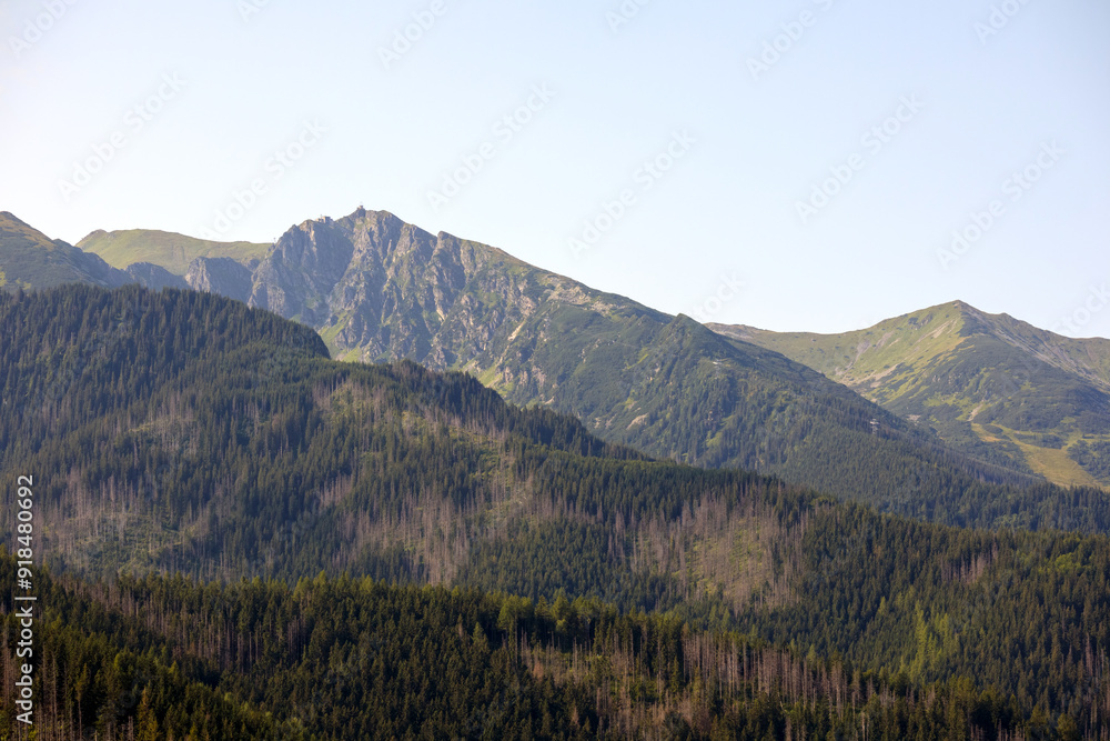 mountain landscape with mountains and trees in the morning mountain landscape with mountains and trees in the morning