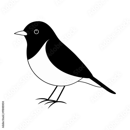 Robin bird silhouette illustration