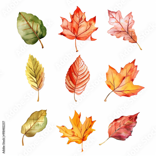 秋、落ち葉、紅葉の水彩イラスト　Generative AI