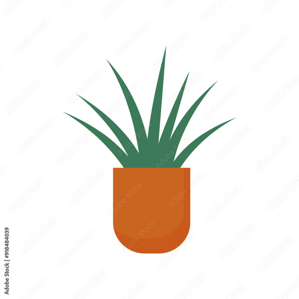 A simple green plant in a terracotta pot placed against a white background indoors A simple green plant in a terracotta pot placed against a white background indoors