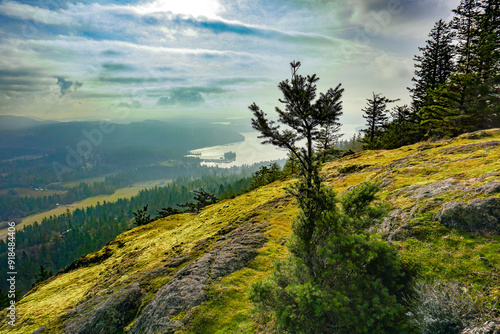 Tranquil scenes from Turtleback Mountain trail, Orcas Island, San Juans, Washington State, Salish Sea photo