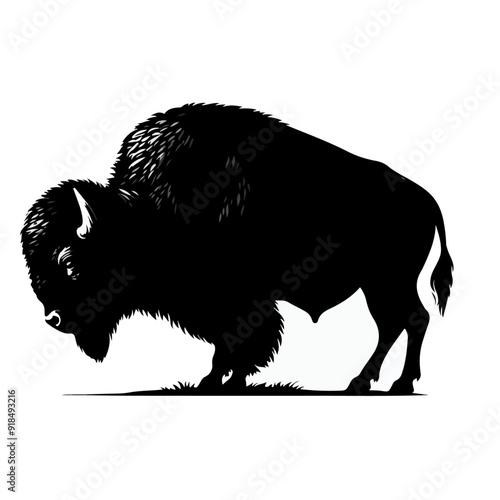  American bison silhouette,  American bison black silhouette icon.
