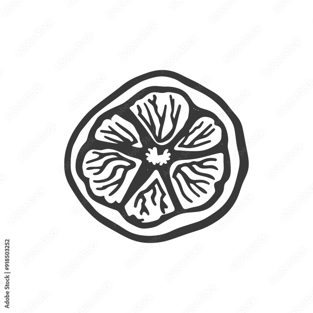 Hand drawn black and white illustration of a lemon slice Hand drawn black and white illustration of a lemon slice