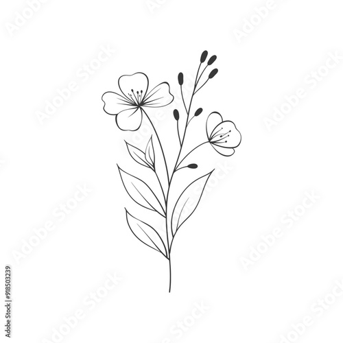 Hand Drawn Black and White Illustration of a Flower Stem with Two Blooms and Leaves