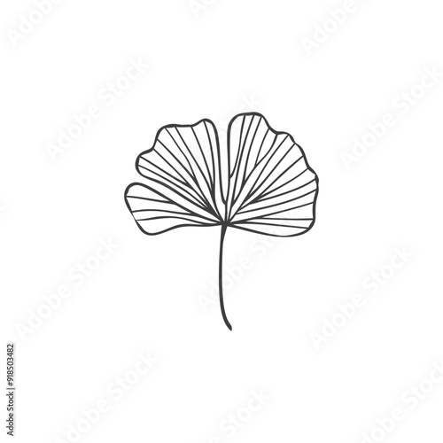 Wallpaper Mural Hand Drawn Illustration of a Ginkgo Leaf Torontodigital.ca
