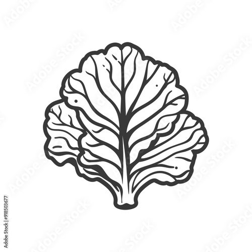 Hand Drawn Illustration of a Single Leaf of Curly Kale