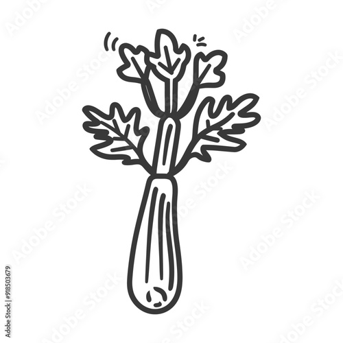 Hand drawn illustration of a single stalk of celery