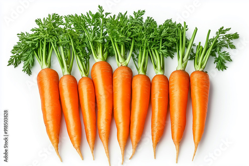 Fresh carrots with green tops displayed on a white background. Generative AI.