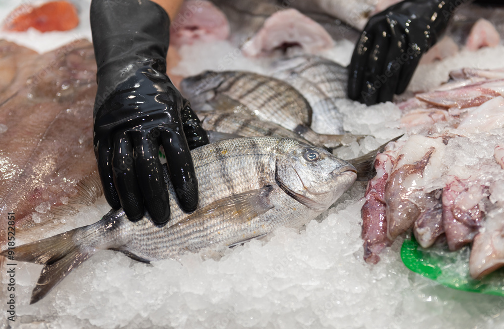 Obraz premium fish on the fishmonger's display