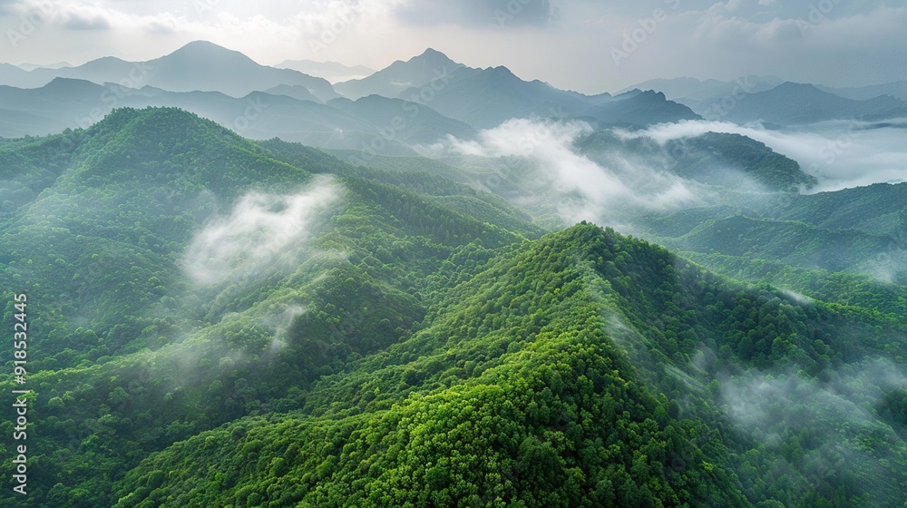 A bird's-eye view from above shows a mountain range shrouded in green vegetation and cloud cover A bird's-eye view from above shows a mountain range shrouded in green vegetation and cloud cover