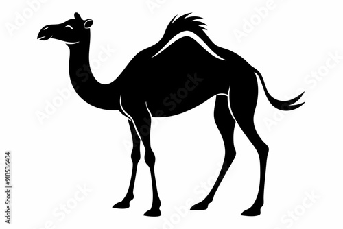 Arab Camel black and white silhouette photo