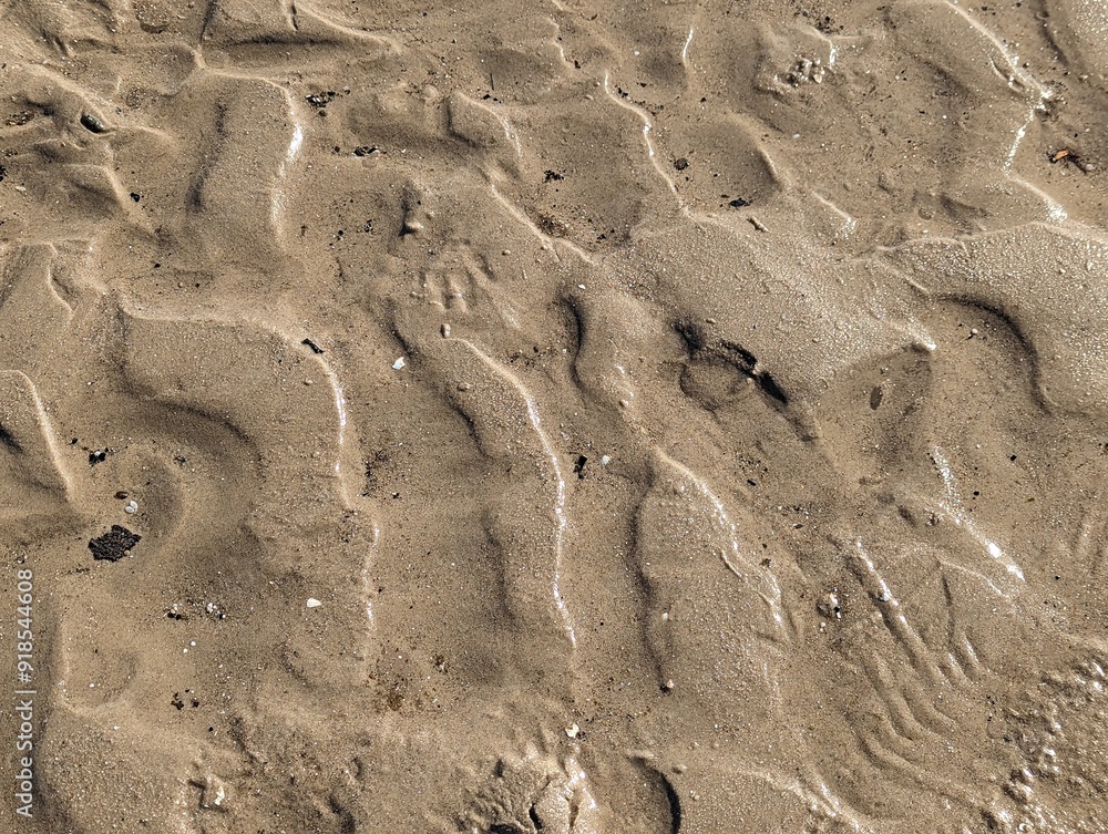Fototapeta premium Wellenmuster im Sand - Watt