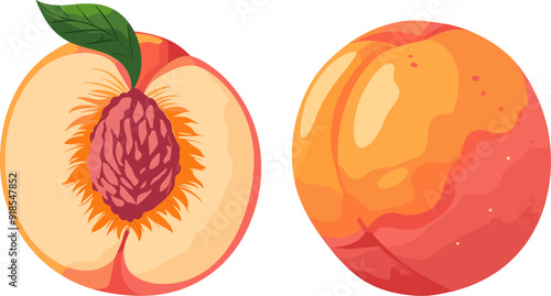 Peach cut in halves minimalist illustration vector