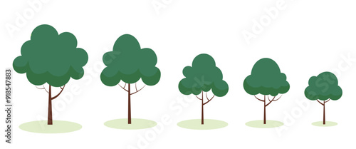 Illustration of trees showing growth stages in a peaceful green landscape
