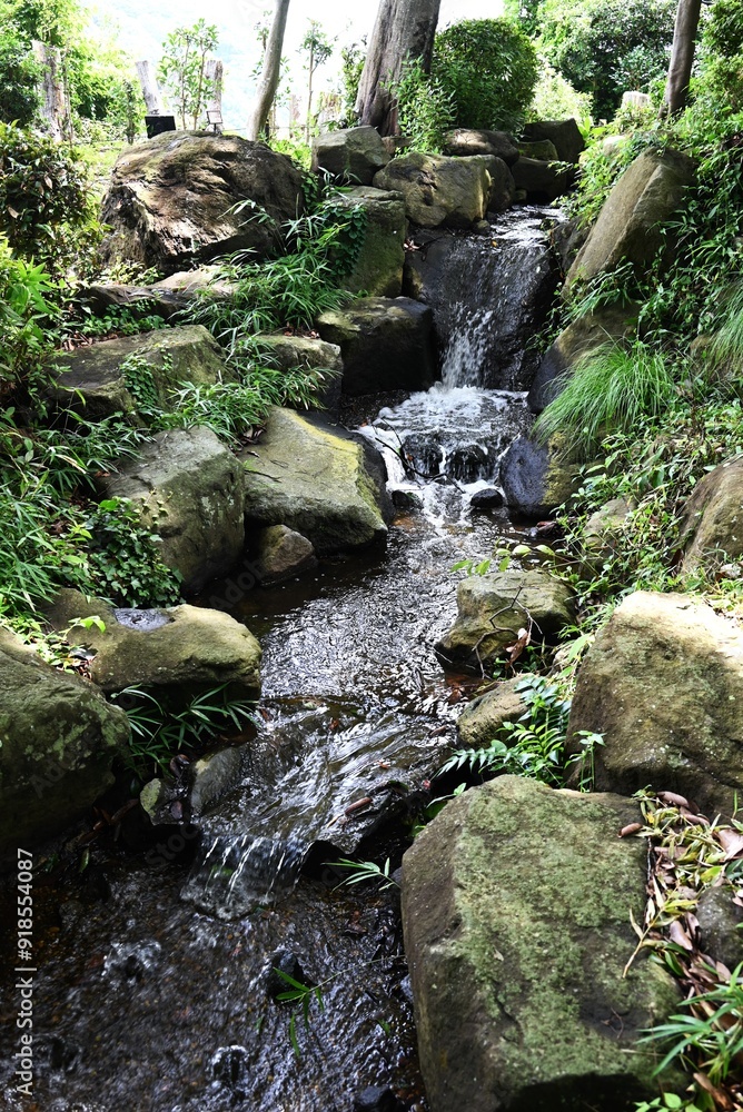 Fototapeta premium The flow of water in the waterway of a natural park. Background material of water movement.