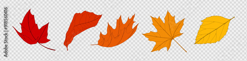 Autumn falling leaves isolated on transparent background. Vector illustration.