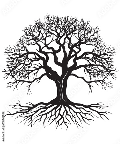 Tree silhouette on white background