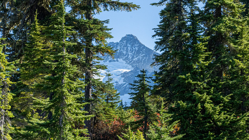 Mt. Shuksan, Bellingham, Washington