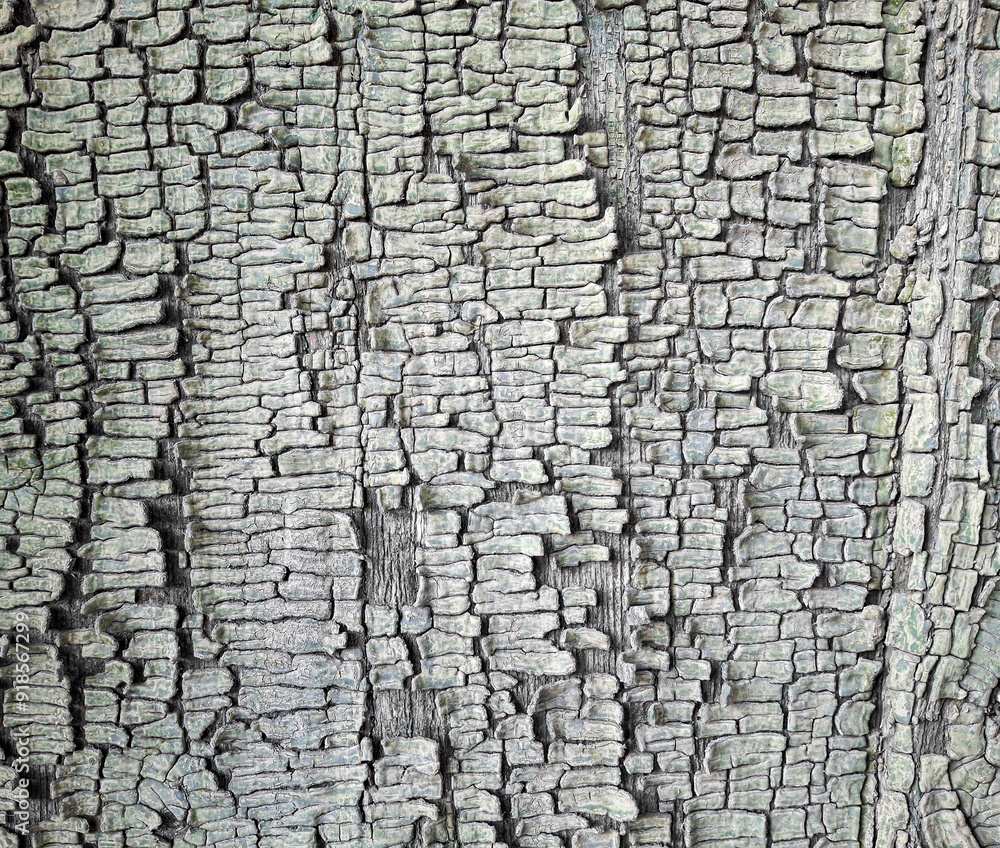 The texture of old cracked paint in close-up The texture of old cracked paint in close-up