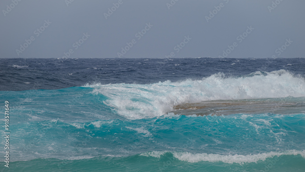 Fototapeta premium surfing the wave