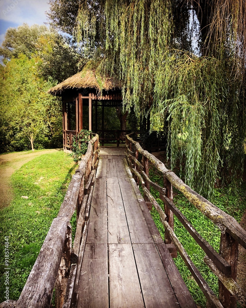 wooden bridge to a house in the forest wooden bridge to a house in the forest