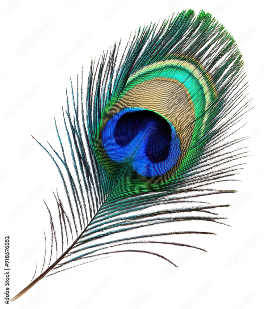 Naklejka premium Vibrant peacock feather with intricate patterns, cut out - stock png.