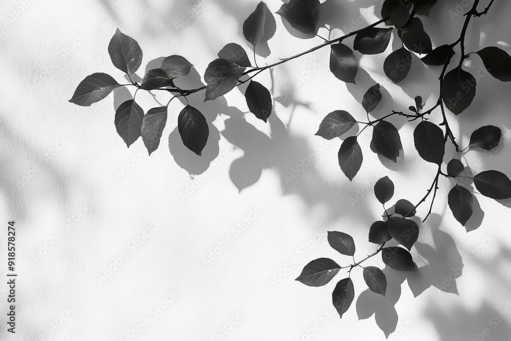 Abstract natural tree leaves shadow on white wall background. Leaves and the shadow of leaves on a gray wall in sunny weather. Abstract natural tree leaves shadow on white wall background. Leaves and the shadow of leaves on a gray wall in sunny weather.