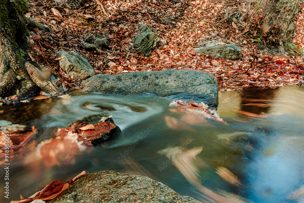 autumn passage with leaves on the ground and small stream autumn passage with leaves on the ground and small stream