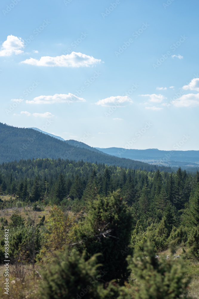 landscape of green field in the mountains on a sunny day landscape of green field in the mountains on a sunny day