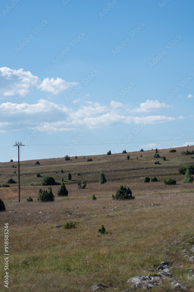 landscape of green field in the mountains on a sunny day landscape of green field in the mountains on a sunny day