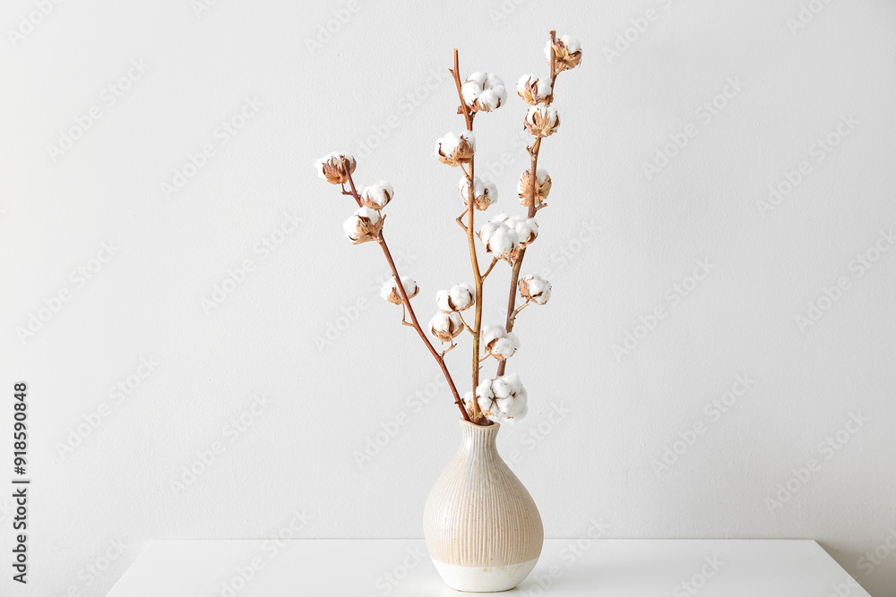 Cotton sprigs in vase on table near white wall Cotton sprigs in vase on table near white wall