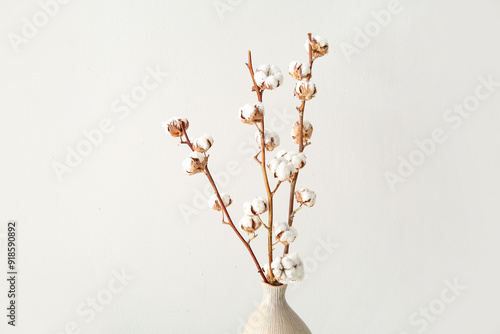 Minimalist cotton branches ...