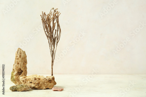 Natural product display wit...